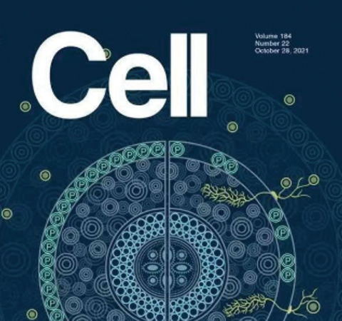 祝賀王二濤老師團隊又一佳作榮登Cell期刊！